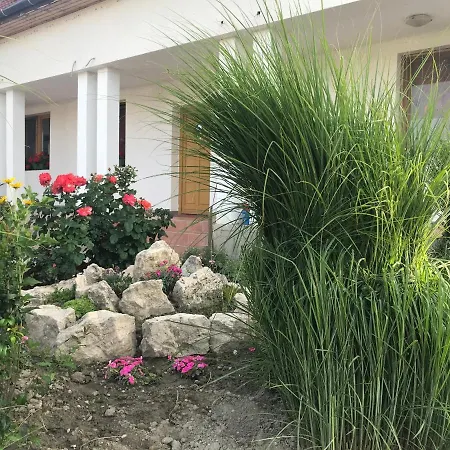 Raroi Lovasudvar Es Vendeghaz