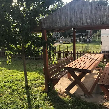 Bed & Breakfast Raroi Lovasudvar Es Vendeghaz